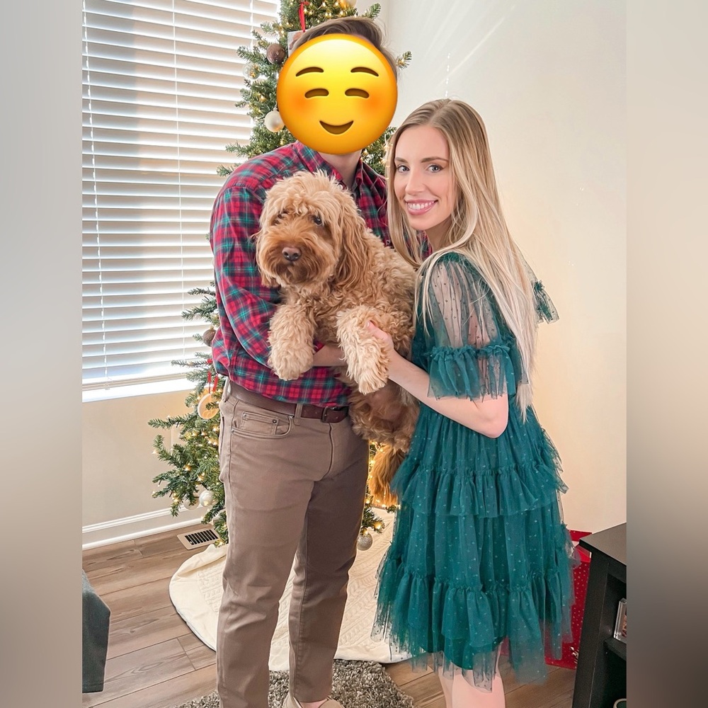 Ivy City Co Holiday Dress
